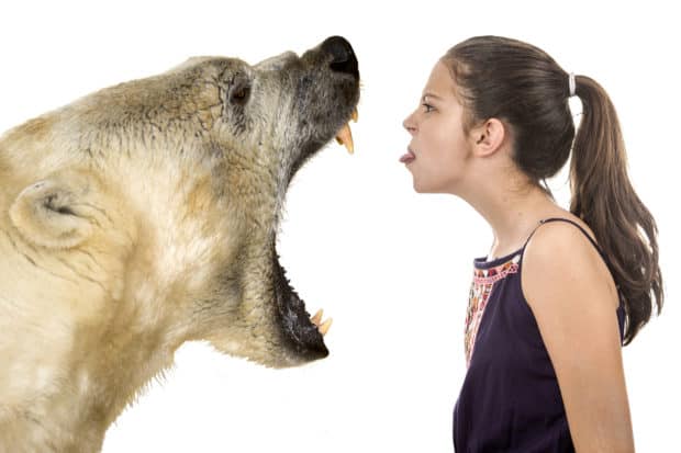 Junge Frau steht mutig brüllendem Eisbär gegenüber!